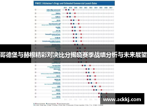 哥德堡与赫根精彩对决比分揭晓赛季战绩分析与未来展望