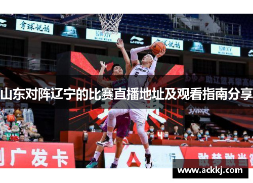 山东对阵辽宁的比赛直播地址及观看指南分享